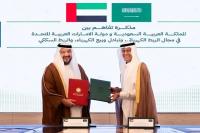 Saudi Arabia, UAE sign MoU on power grid and rail links