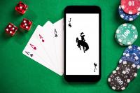Wyoming lawmakers take steps to further restrict online gaming