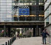 EU expert group urges curbs on high-risk solar suppliers