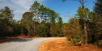 Florida neighbors fight 19-lot plan on conservation land as rezoning bid starts over