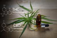 <![CDATA[New Maryland law limits board action against veterinarians who discuss cannabis and CBD]]>