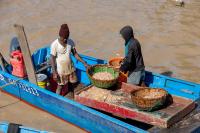 Guyana sets out Seabob shrimp industry plans as FAO programme nears end