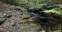 Ending the federal 'roadless' rule could threaten these Maine forests