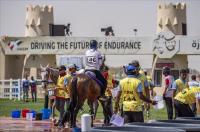 Equitrans Logistics Appointed Official Shipping Agent for FEI World Endurance Championship 2026 in Abu Dhabi