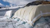 Four Swiss students manage to slow the melting of an alpine glacier by 50% with sheep’s wool