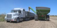 Farmers react to Beshear order allowing untaxed diesel on Kentucky roads