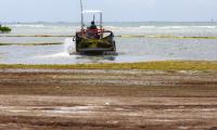 DNER and mayors explore new options for sargassum and beach management