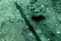 3,000-year-old bronze sword discovered in submerged settlement in Italy