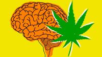 Does Cannabis Really Make You More Violent? Here’s What a New Study Found.