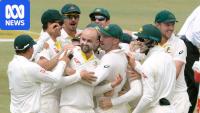 The mixed fortunes of Australia's last South African touring party