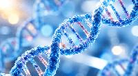 Canadian children’s hospitals expand AI-powered rare disease detection as gene therapy research advances