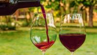 Wine with Leslie: My favourite thing about wine is that it still shocks and excites