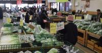 Japan weighs financial support for smaller farmers hit by food tax cut