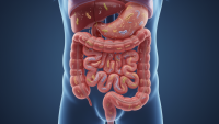 Danish pharma innovation: Weight loss trial delivers stunning results