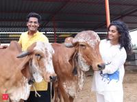 From 20 rented cows to Rs 2.4 crore revenue: Engineer's gamble turns into a farm with 100 Gir cows, 300+ sandalwood trees &amp; dozens of mango varieties