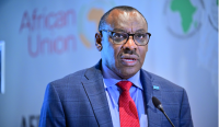 Persistent Risk Premiums cost Africa $75bn Annually- ECA boss