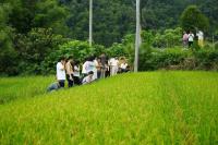 Chinese NGOs bring participatory climate risk assessment to rice-farming communities