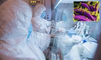 Minute by agonizing minute, how plague takes over your entire body: Gruesome countdown from moment of infection to total organ failure... as Russian lab worker's death sparks panic