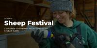 UI WSU Sheep Festival In Moscow This Weekend
