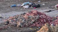 Stench from Bosnia’s Ramici Landfill Indicates Mounting Waste Challenges