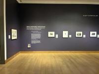 Hood Museum of Art exhibit explores the limits and possibilities of American travel culture