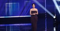 Taiwanese show wins best series at Seoul Int'l Drama Awards