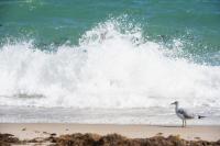 Most Instagrammable Beaches in Texas