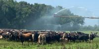 North Central Extension Region Soil Health Nexus Brings Soil & Water Experts Together In Goshen