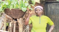 Farmers adopt modern techs ahead of El Nino