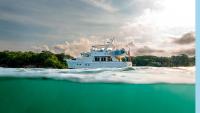 What happened when we decided to take our toddler around the world in our yacht?