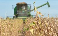 How Soybeans Took Over the American Diet — Without Anyone Noticing