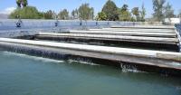 MEXICALI BRIEFS: Mexicali Valley faces impending crisis following allotment cuts