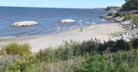 Village celebrates completion of beach project