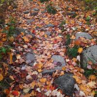 Peak color, hidden trails: Fall hiking in western Maine
