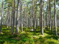 Environmental Super PAC Spends $5 Million Targeting Republicans