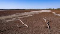 Hungary's 2026 drought is the country's most severe in 126 years, data shows