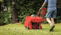 Gardening experts reveal how often you should aerate your lawn and how many passes are best