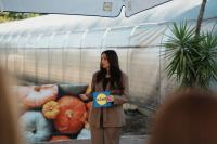 Fruits and vegetables without pesticide residues and where they can be bought in Serbia
