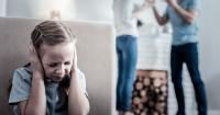 Domestic Violence: The impact on South Carolina's children