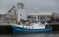 European Commission surveying commercial fishers on simplifying administrative, reporting requirements