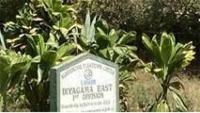 Government moves to declare Diyagama forest a reserve
