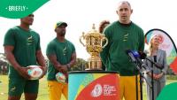 Springboks coach Felix Jones plays a role in the rugby crackdown after two Australian players are injured