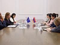 Strong Armenia presents drug registration proposal to CoE