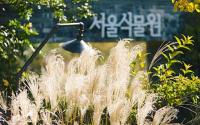 Seoul Botanic Park welcomes fall with pampas and rare plants through Nov. 8