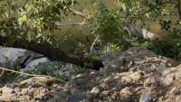 Environmental Watchdog Deflects Blame to Yerevan City Hall Over Hrazdan Gorge Construction Violations