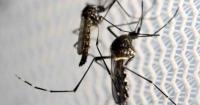 Malaria in Benin: the government clarifies the role of the upcoming agency and the PNLP’s future.