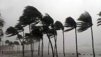 Evacuations and Shelters Open Across Northwest Florida as Isaias Approaches