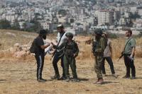 One Palestinian killed, dozens injured during Israeli settler attacks on West Bank olive harvest