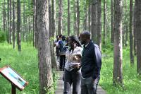 "China, an Opportunity Beautiful Hebei": Immersing in Chengde's Cultural and Ecological Beauty Through the Eyes of Foreign Media Journalists from 21 Countries
