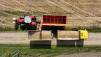 Political scientist’s view: “Where will we make the cuts?” – Rajevskis warns of the cost of banning grain transit